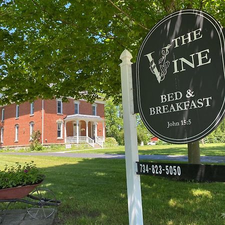 The Vine Bed & Breakfast, Llc Dundee Kültér fotó