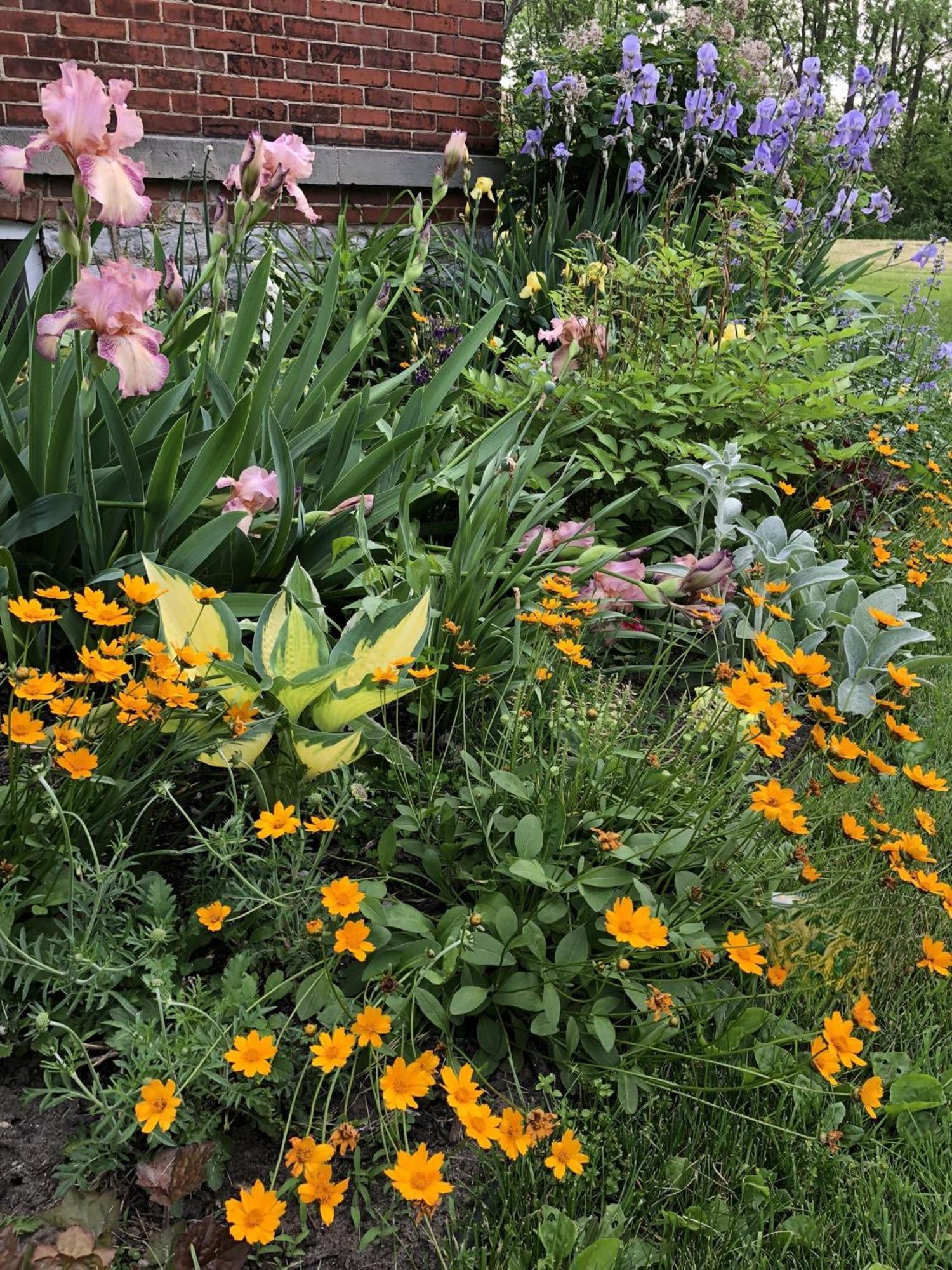 The Vine Bed & Breakfast, Llc Dundee Kültér fotó