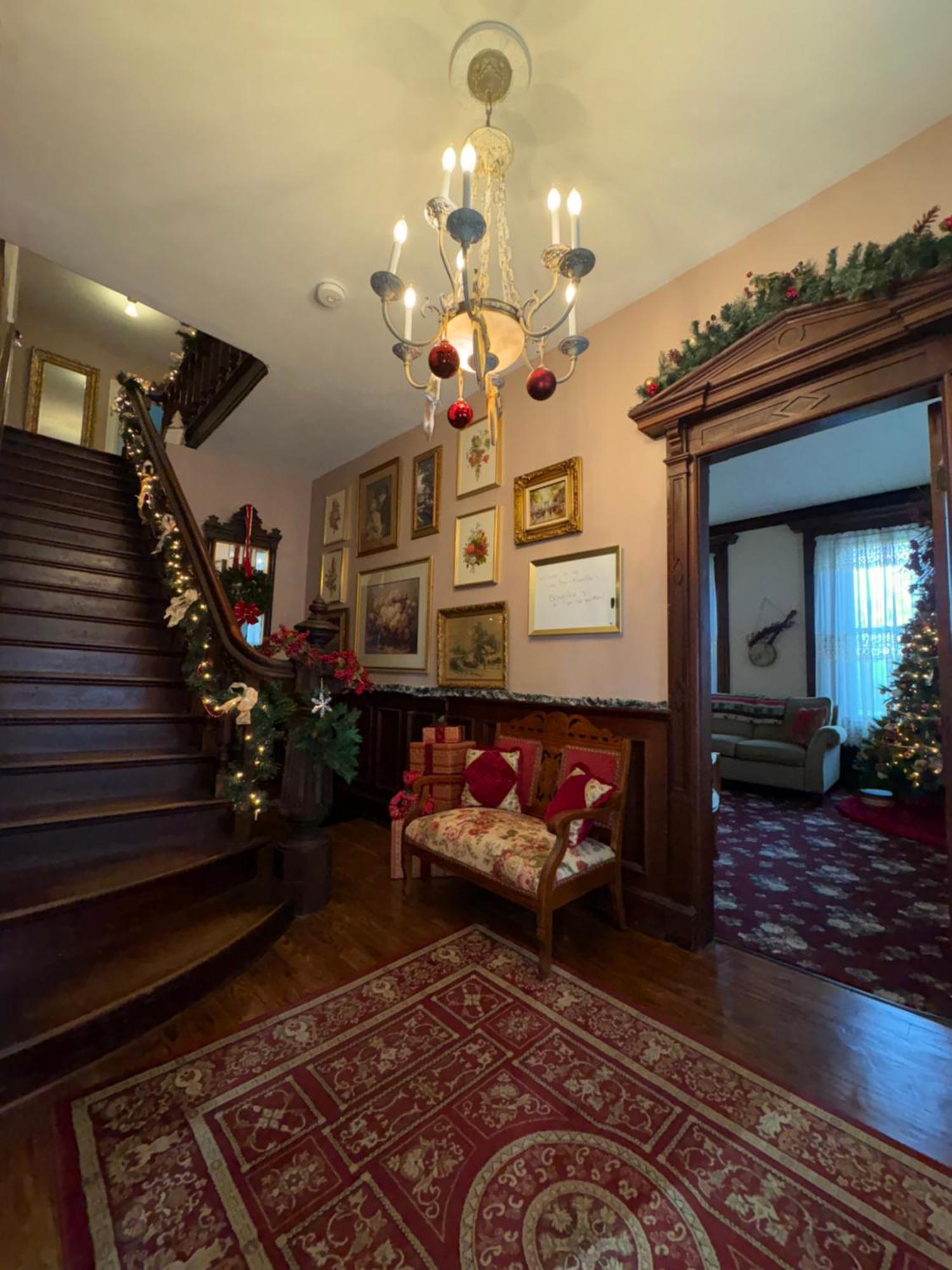 The Vine Bed & Breakfast, Llc Dundee Kültér fotó