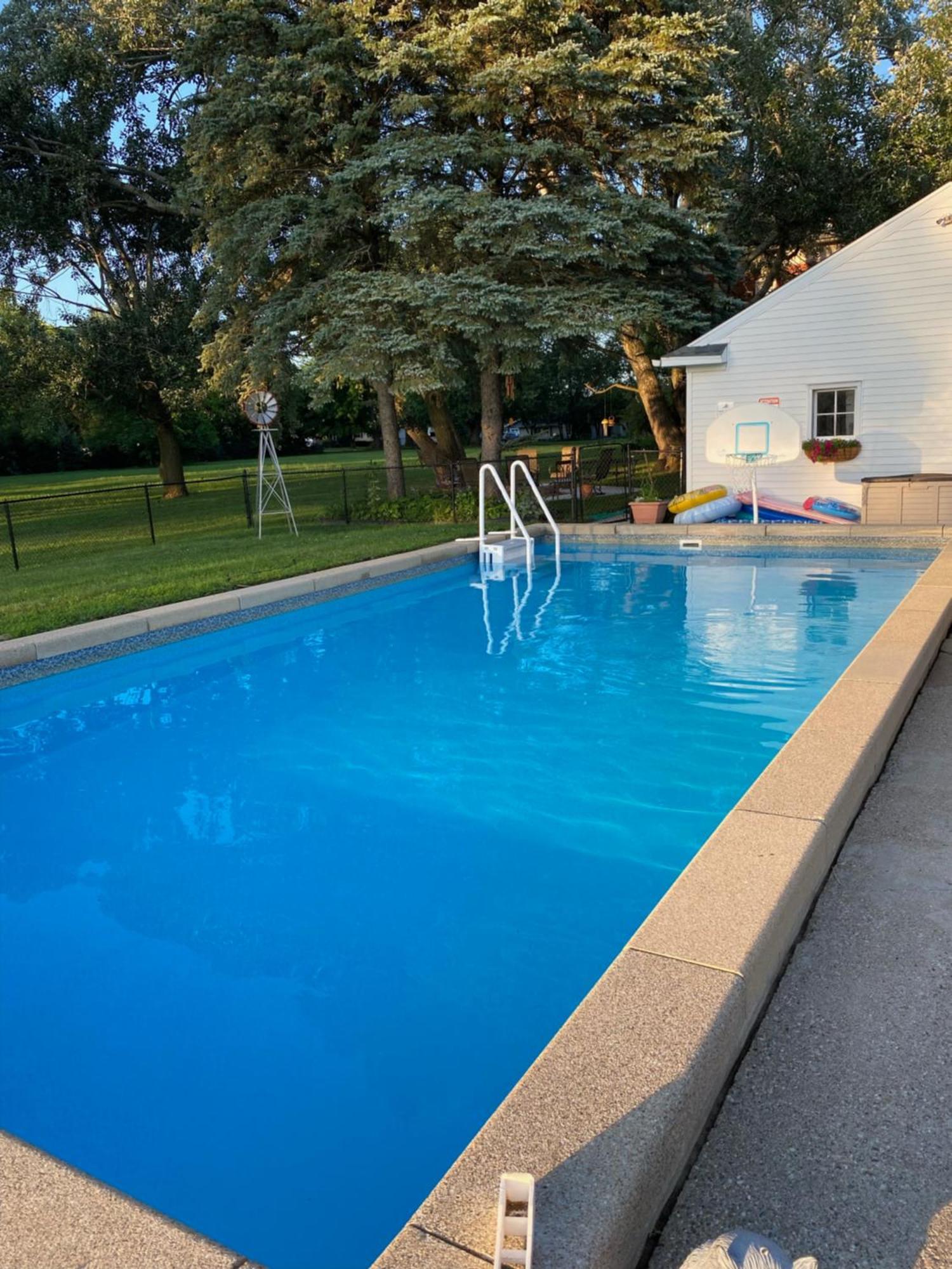 The Vine Bed & Breakfast, Llc Dundee Kültér fotó