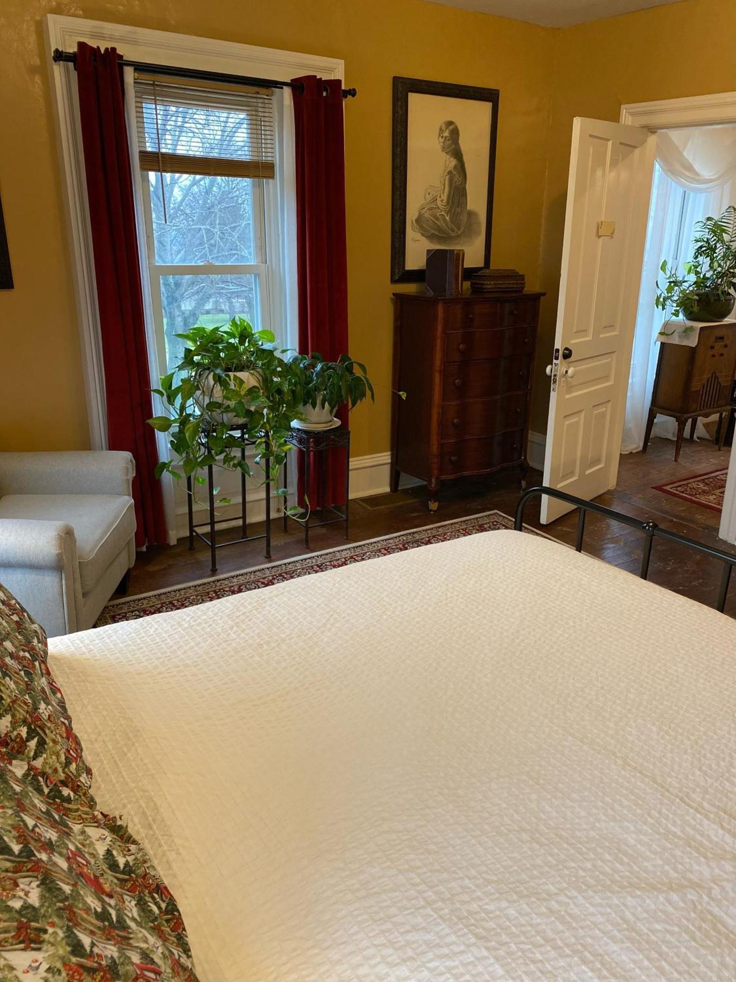 The Vine Bed & Breakfast, Llc Dundee Kültér fotó